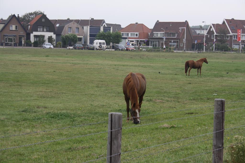 't Haasduin Wijk aan Zee